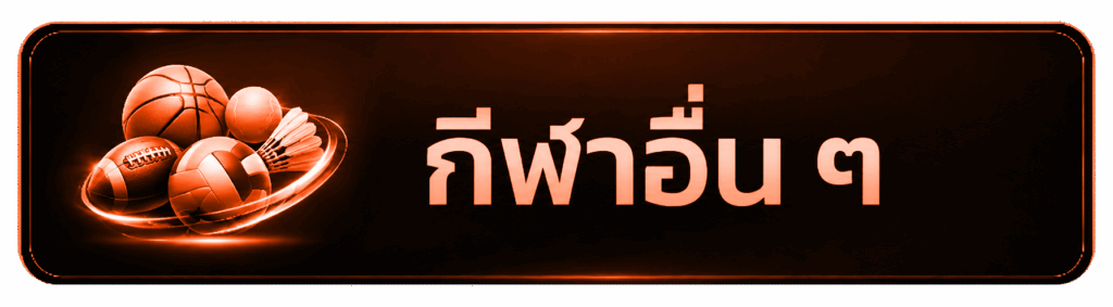 กีฬาอื่น ๆ